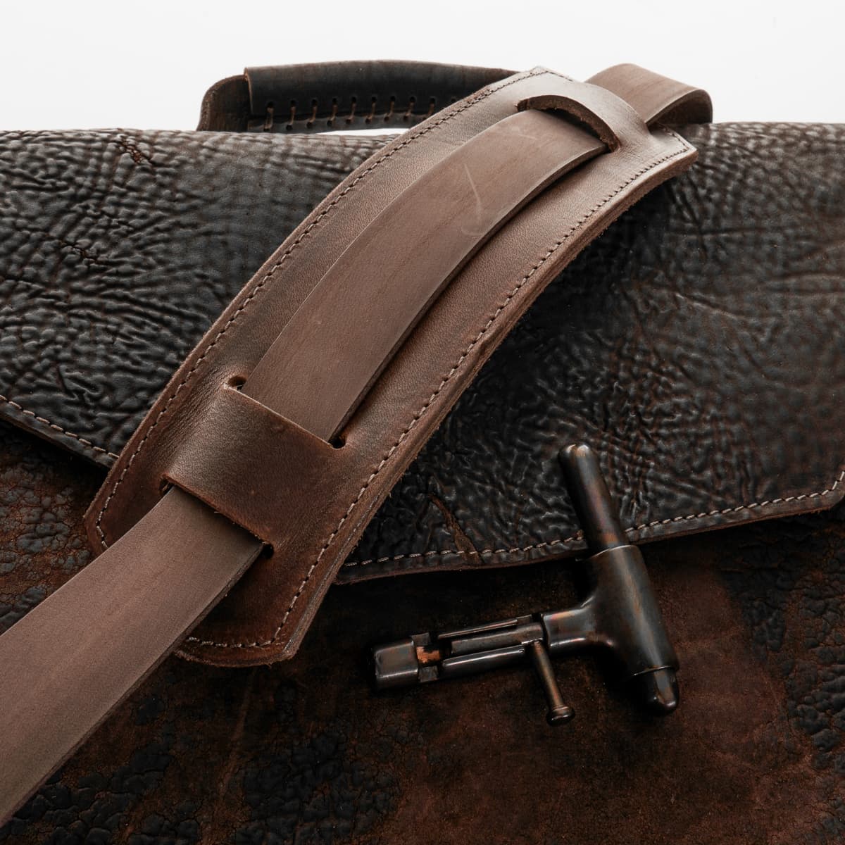 Shoto-bjobs-horse-culatta-brutta-dive-92-4-von-6 shoto-bjobs-horse-culatta-brutta-dive-92-4-von-6