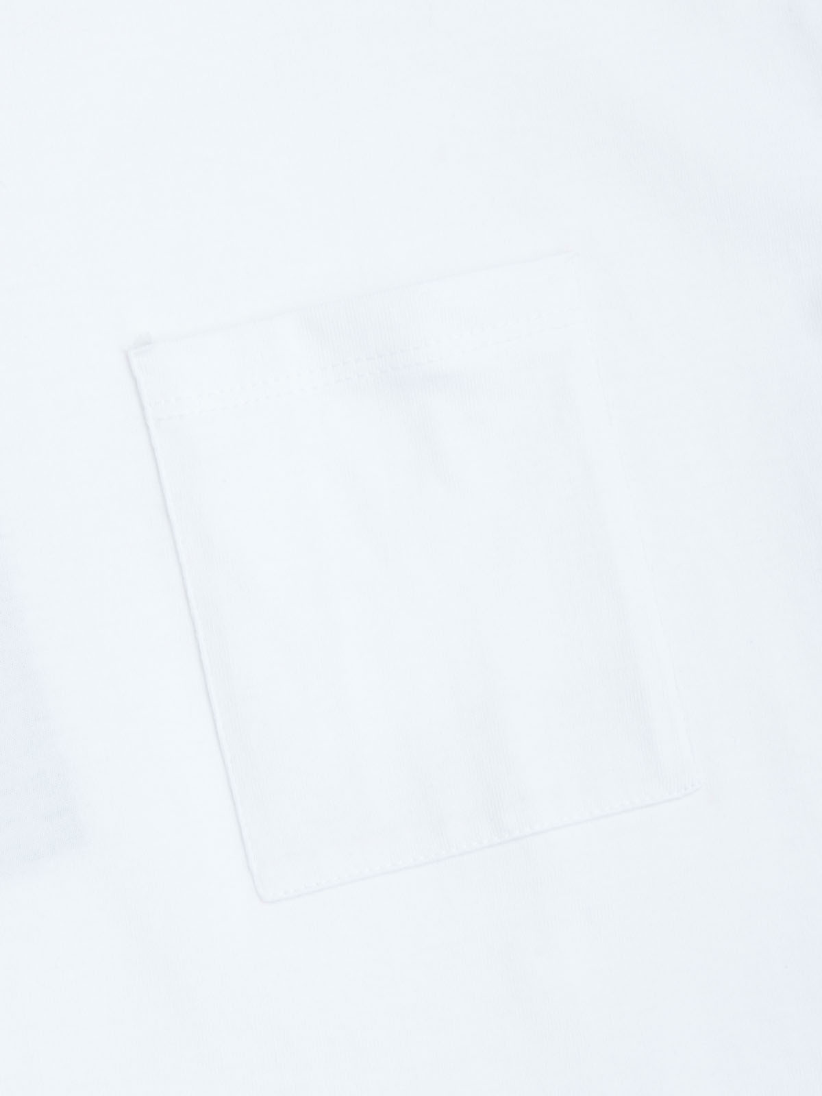 Blue-Genes-Sagi-White-3 blue-genes-sagi-white-3
