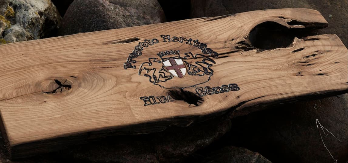 Blue-de-Genes-banner45O2tbl6vnjgZt blue-de-genes-banner45o2tbl6vnjgzt