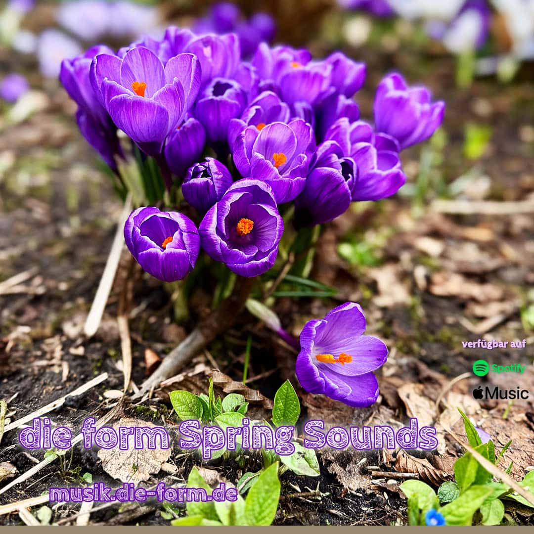 Spring Sound die form music for spring sounds