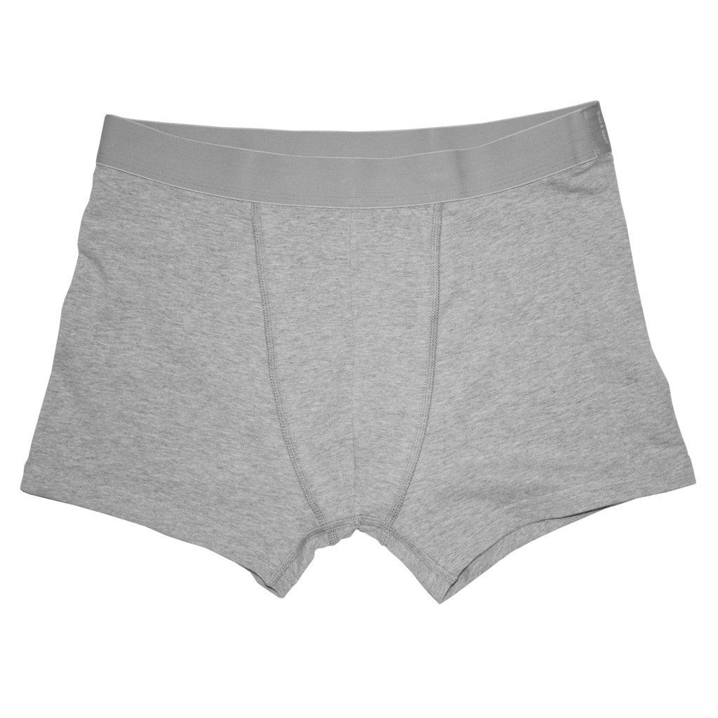 tempboxer_brief_greyfrAVxSGz2zMtT tempboxer_brief_greyfravxsgz2zmtt