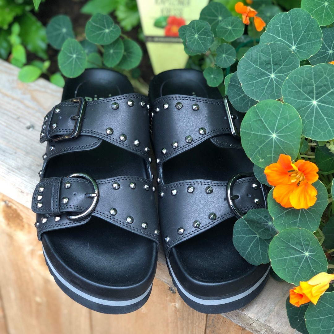Sandalen-Saison. 219798073_346964036884190_9167279692032238361_n