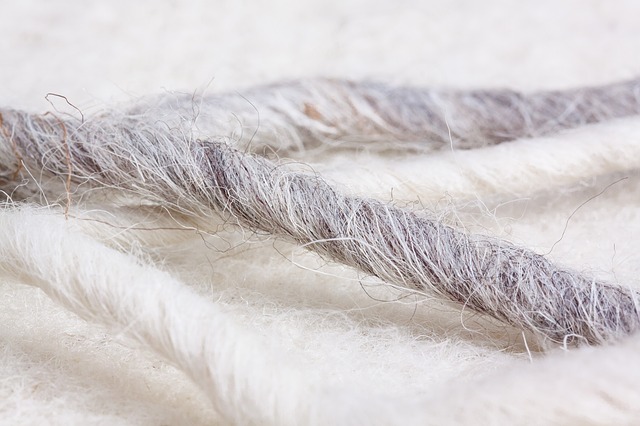 sheeps-wool-533756_640 sheeps-wool-533756_640