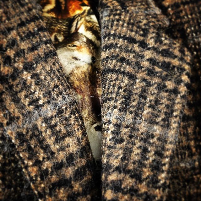 Sneak Peek Winter 2019! 50143700_1090110674529411_9051807269853263832_n