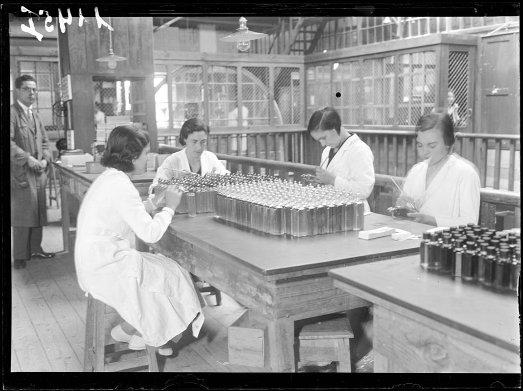 PT-TT-EPJS-SF-001-001-0029-1145I-4-Rotulagem-pichi pt-tt-epjs-sf-001-001-0029-1145i-4-rotulagem-pichi