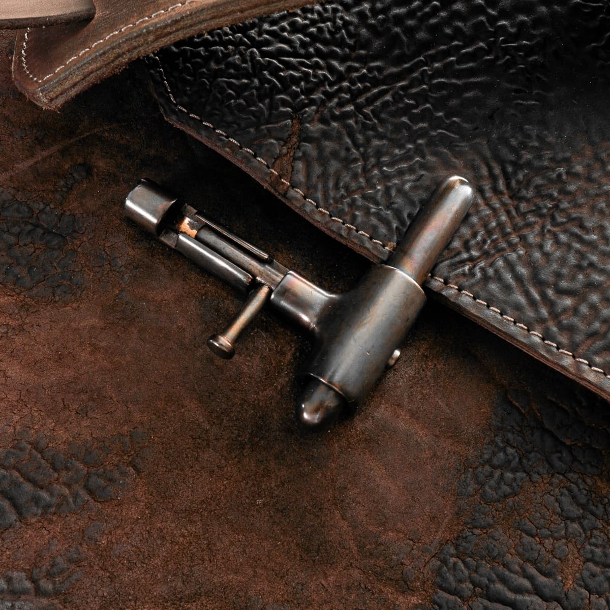 Shoto-bjobs-horse-culatta-brutta-dive-92-3-von-6 shoto-bjobs-horse-culatta-brutta-dive-92-3-von-6