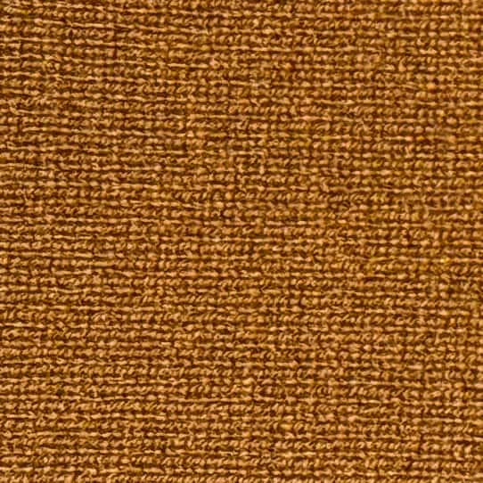 Vintage Vicuna