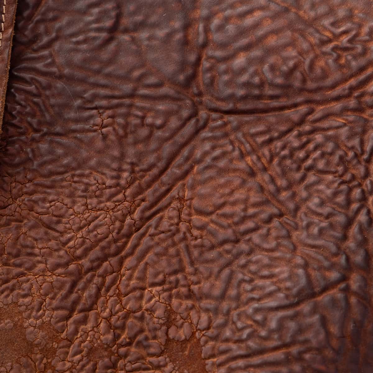 Shoto-bjobs-horse-culatta-brutta-dive-190-4-von-9 shoto-bjobs-horse-culatta-brutta-dive-190-4-von-9