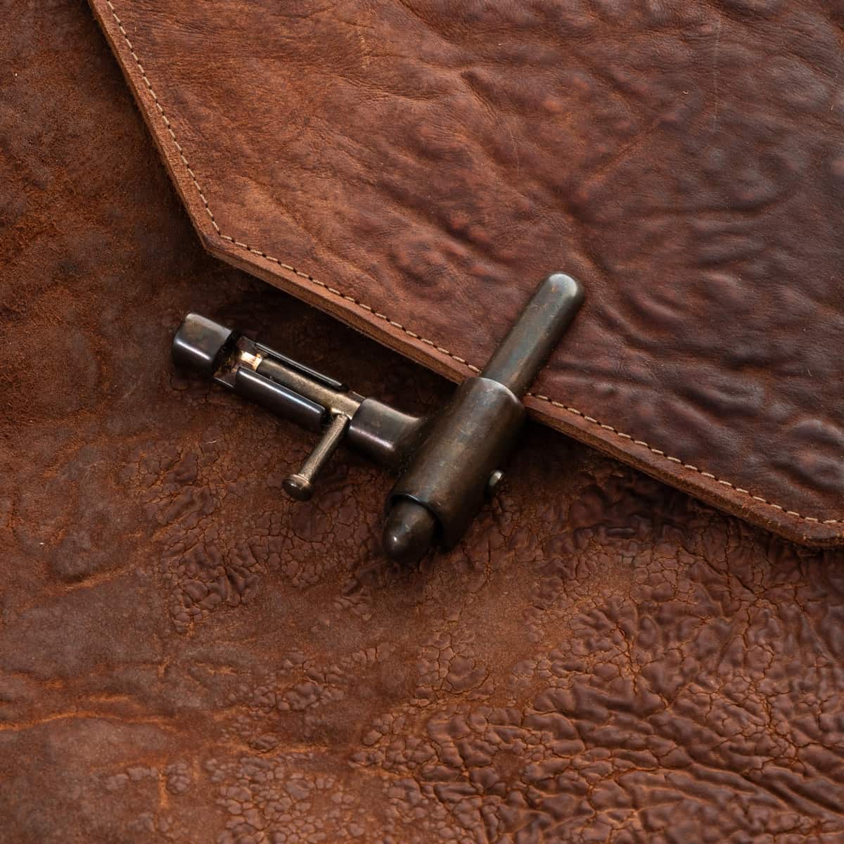 Shoto-bjobs-horse-culatta-brutta-dive-190-2-von-9 shoto-bjobs-horse-culatta-brutta-dive-190-2-von-9