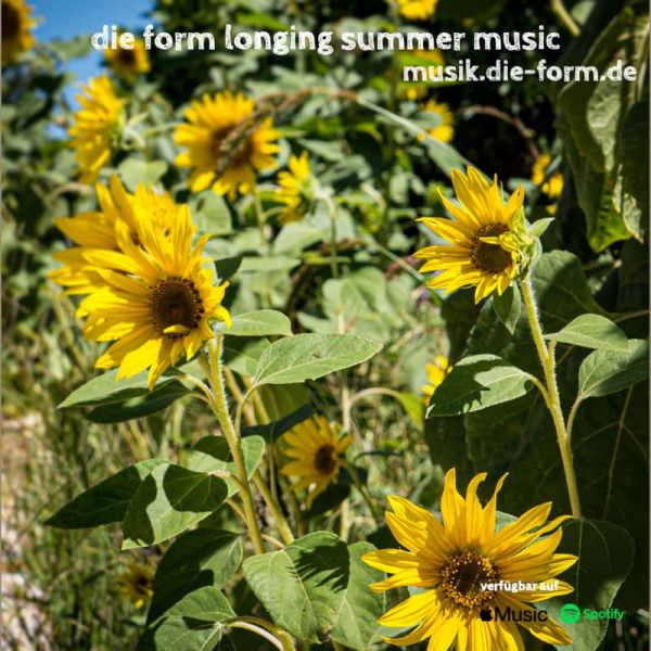 die-form-longing-summer-music-pichi-1