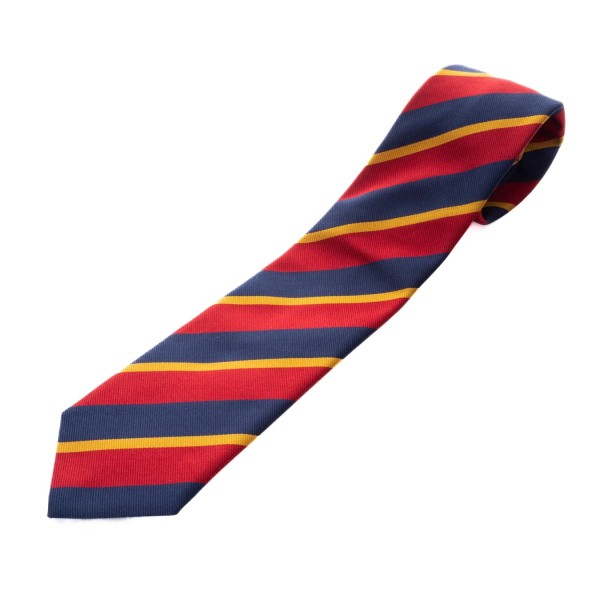 Hemley Necktie Multicolour Striped